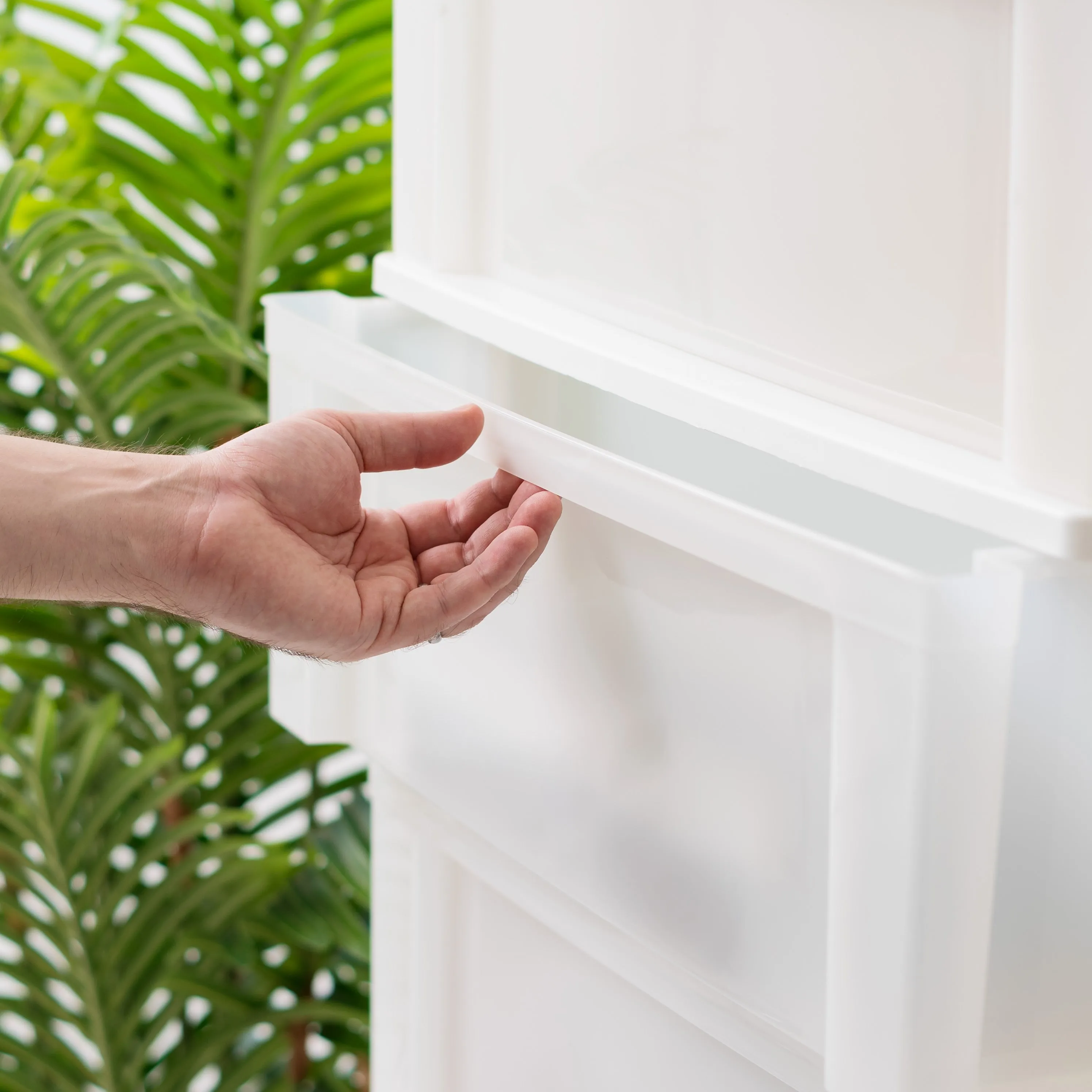 4-Drawer Wide Chest, White/Natural