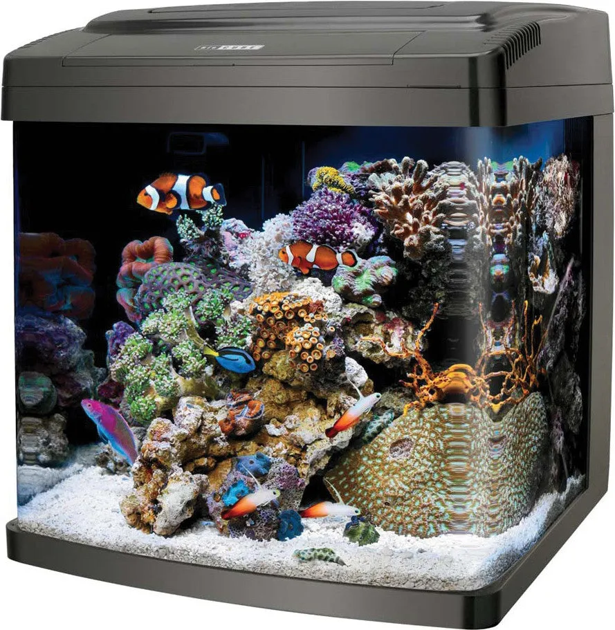 Aqueon Products - Glass - Coralife Biocube Aquarium