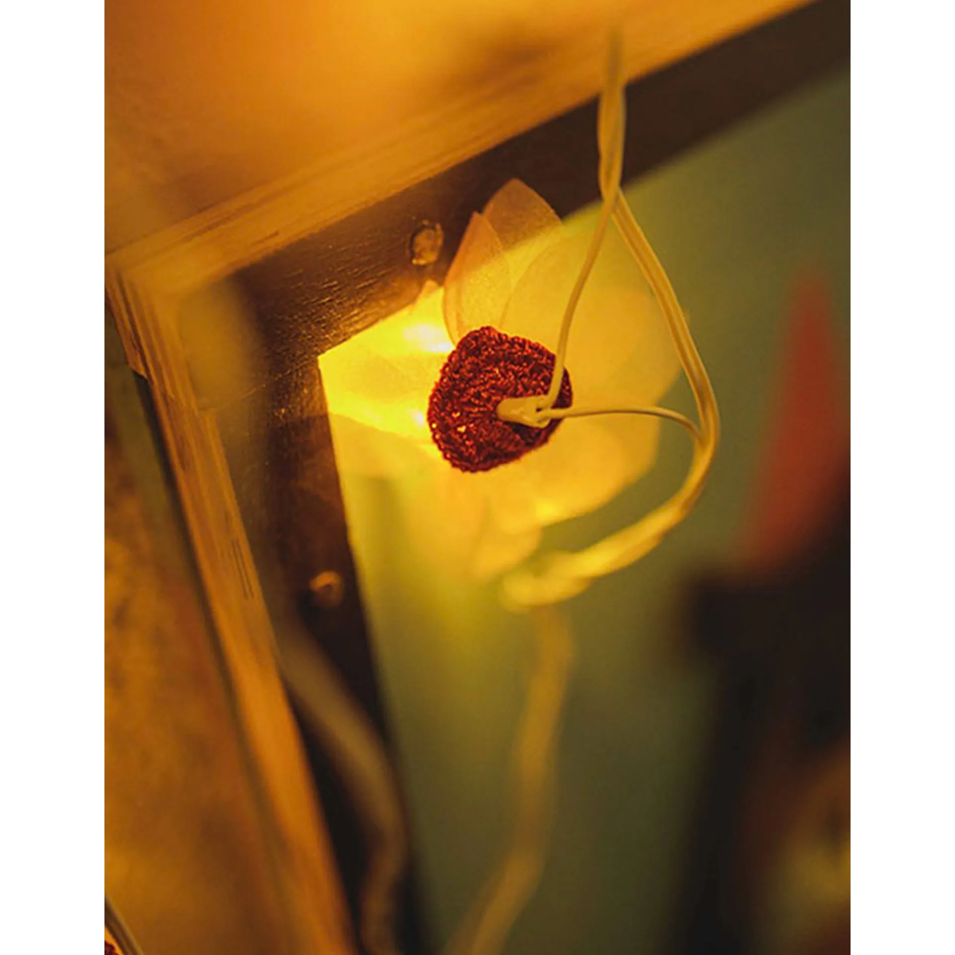 Home Decor LED String Lights ~ Pink Rose with Hearts