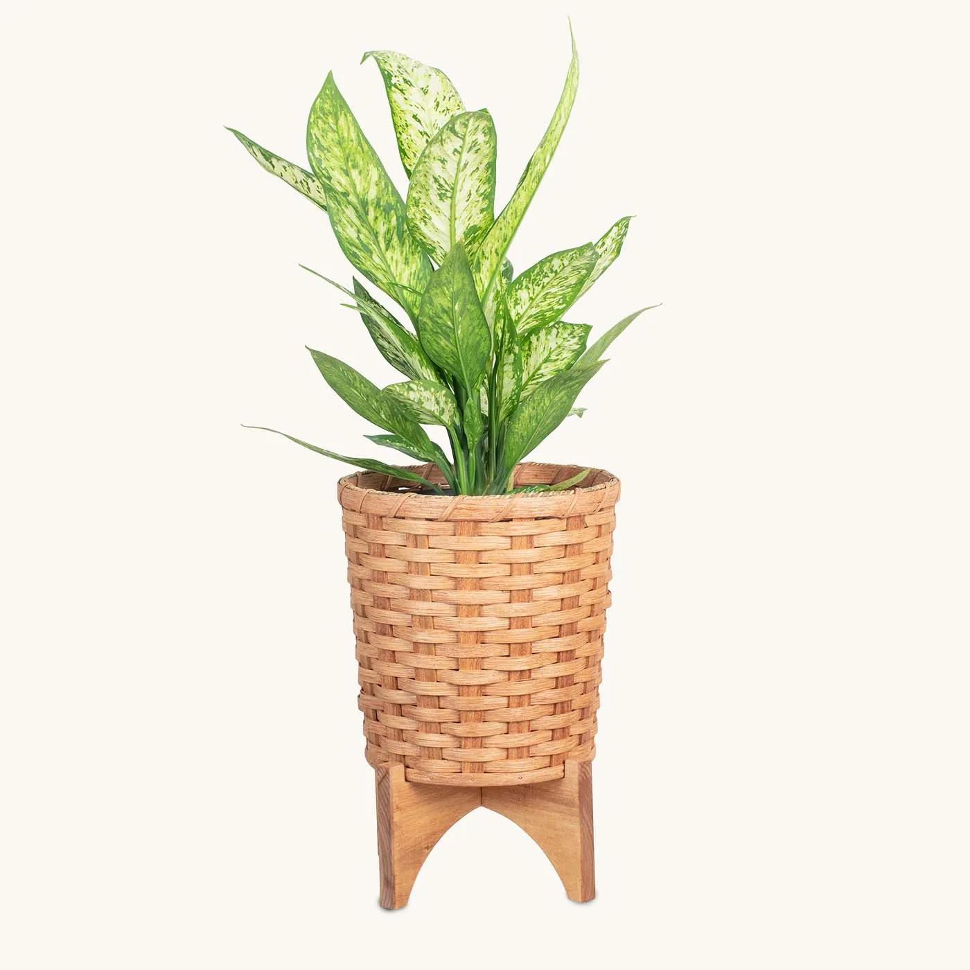 Large Round Basket Planter | Woven Wicker Plant Pot w/Drainage