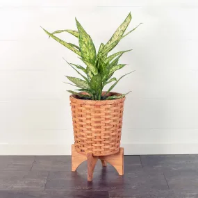 Large Round Basket Planter | Woven Wicker Plant Pot w/Drainage