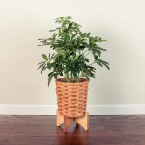 Medium Round Basket Planter | Woven Wicker Plant Pot w/Drainage