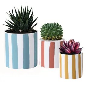 Playful Planters Set of 3