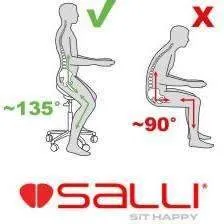 Salli ErgoRest Multiadjuster Medical and Dental Chair or Stool