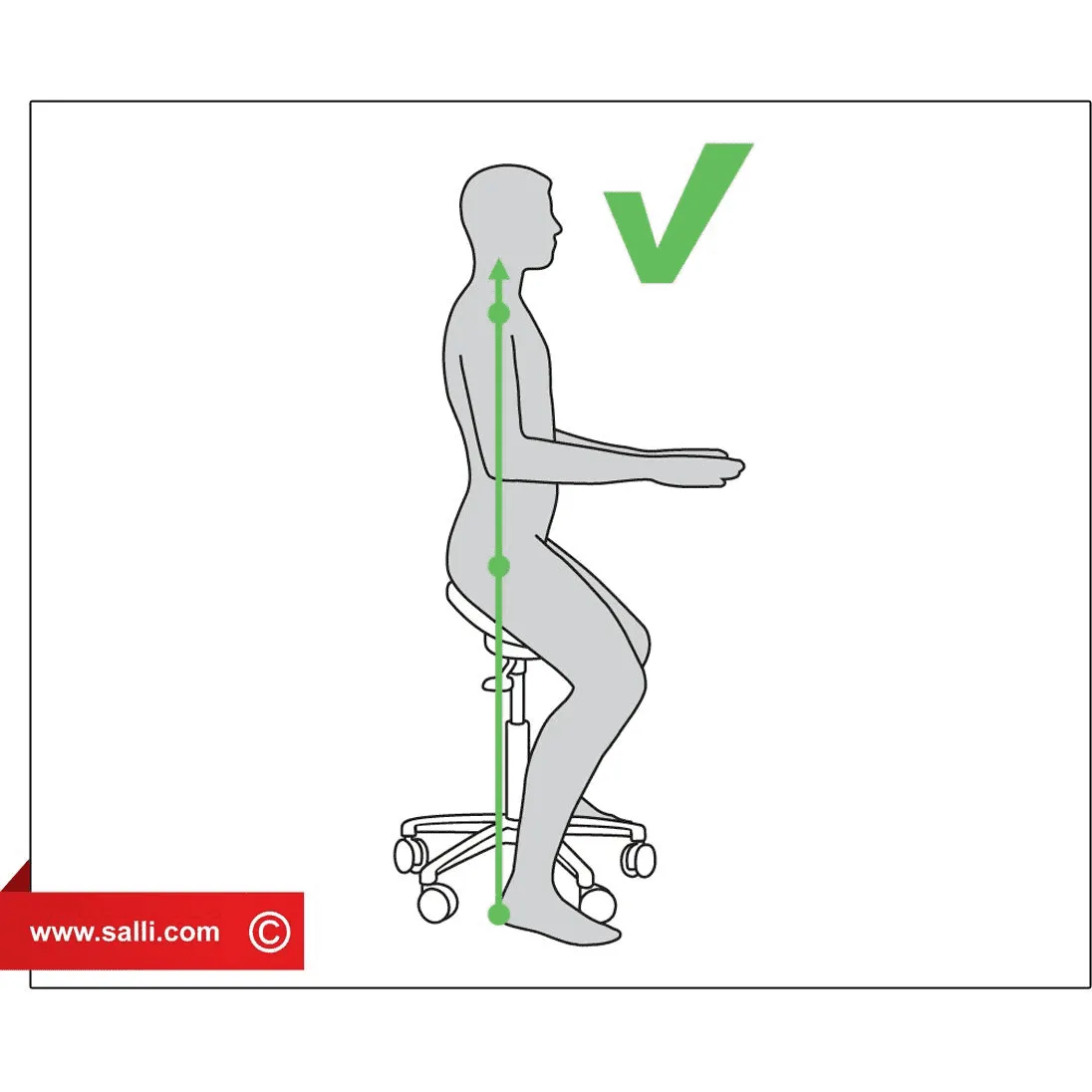 Salli Surgeon or Expert Multiadjuster Medical Chair or Stool