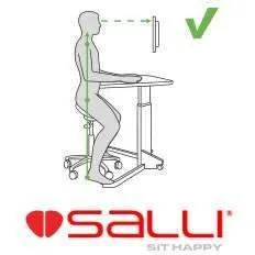 Salli Surgeon or Expert Multiadjuster Medical Chair or Stool