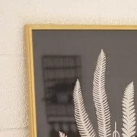 White Fern Wall Art